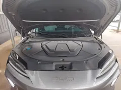 2023 BYD Song PLUS Champion EV 605km Flagship Plus — фото 20