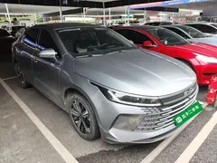 2023 BYD Destroyer 05 Champion DM-i PHEV 120KM Premium — фото 4