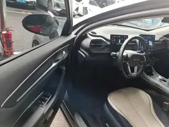 2023 BYD Destroyer 05 Champion DM-i PHEV 120KM Premium — фото 16