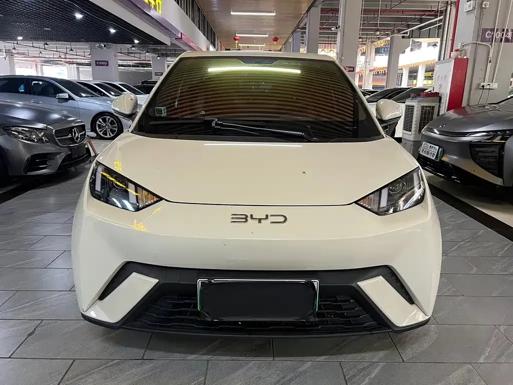 2025 BYD Seagull 305km Vitality