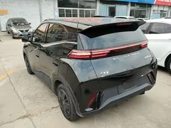 2023 BYD Seagull Vitality, чёрный — фото 5