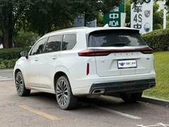 2021 Exeed VX 390T 2WD, белый — фото 4