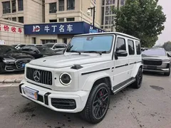 2021 Mercedes-Benz G-Class G 500, белый — фото 1