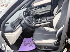 2021 BYD Qin PLUS DM-i 120KM PHEV Premium, чёрный — фото 5