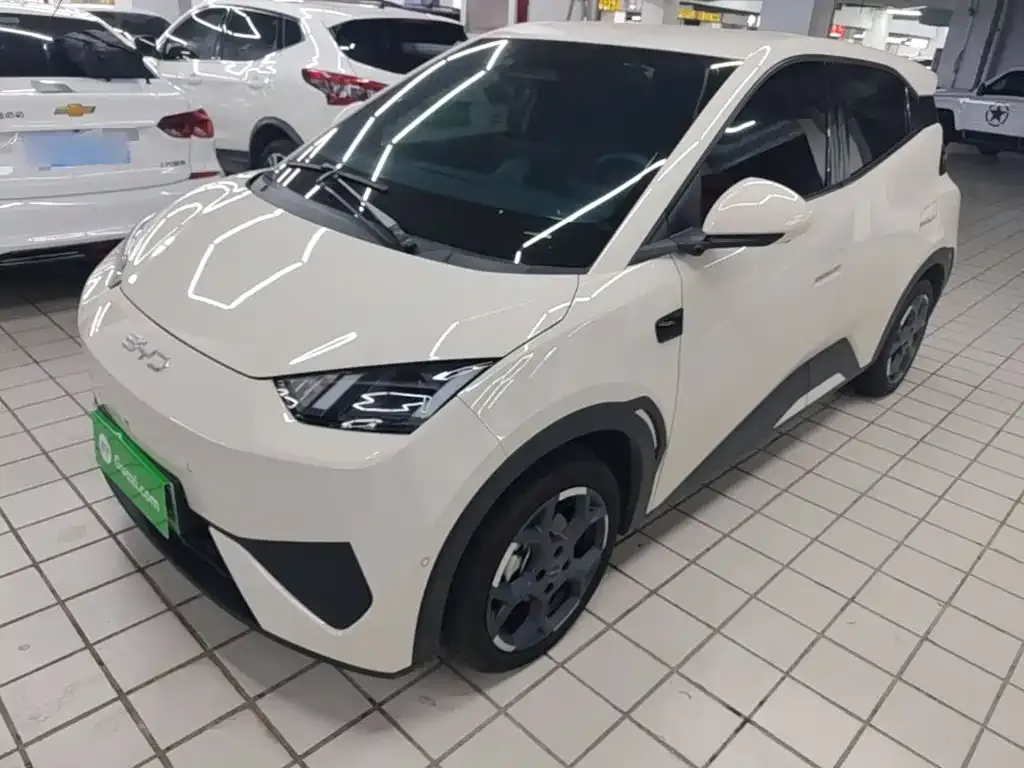 2025 BYD Seagull Smart Driving 305km Freedom