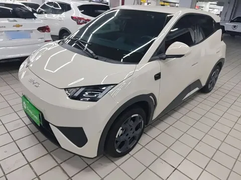 2025 BYD Seagull Smart Driving 305km Freedom
