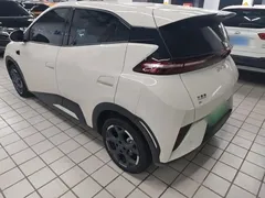 2025 BYD Seagull Smart Driving 305km Freedom, белый — фото 5