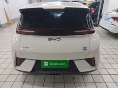 2025 BYD Seagull Smart Driving 305km Freedom, белый — фото 6