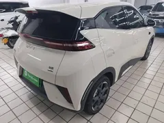 2025 BYD Seagull Smart Driving 305km Freedom, белый — фото 7