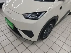 2025 BYD Seagull Smart Driving 305km Freedom, белый — фото 24