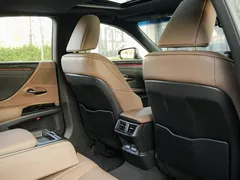 2022 Lexus ES 200 Excellence, зелёный — фото 13