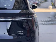 2024 Hongqi HS7 2.0T PHEV 4WD 6, чёрный — фото 12