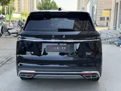2024 Hongqi HS7 2.0T PHEV 4WD 6, чёрный — фото 14