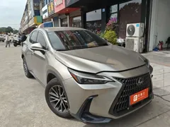 2022 Lexus NX 260 2WD — фото 2