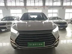 2022 BYD Song Pro DM-i PHEV 110km Flagship Pro, белый — фото 3