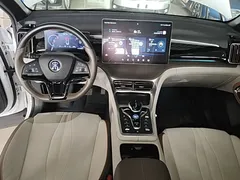 2022 BYD Song Pro DM-i PHEV 110km Flagship Pro, белый — фото 10