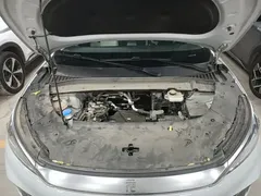 2023 BYD Yuan PLUS Champion 430km, белый — фото 20