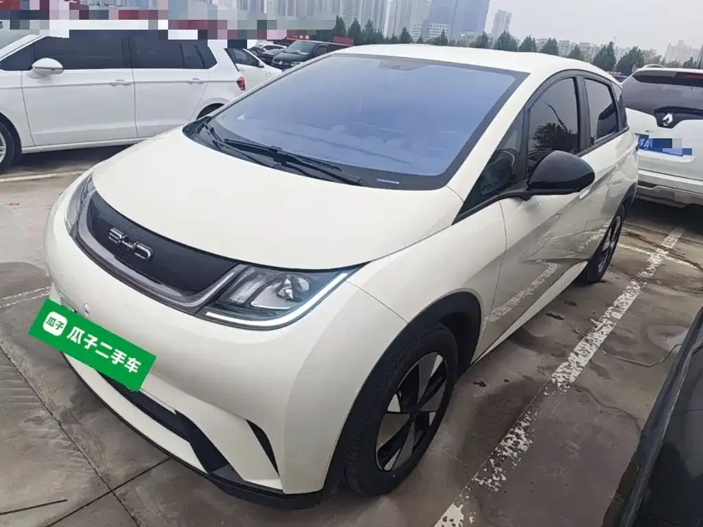 2023 BYD Dolphin 420km Freedom