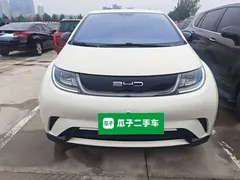 2023 BYD Dolphin 420km Freedom — фото 3