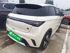 2023 BYD Dolphin 420km Freedom — фото 7