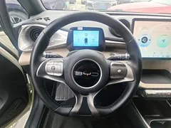 2023 BYD Dolphin 420km Freedom — фото 11