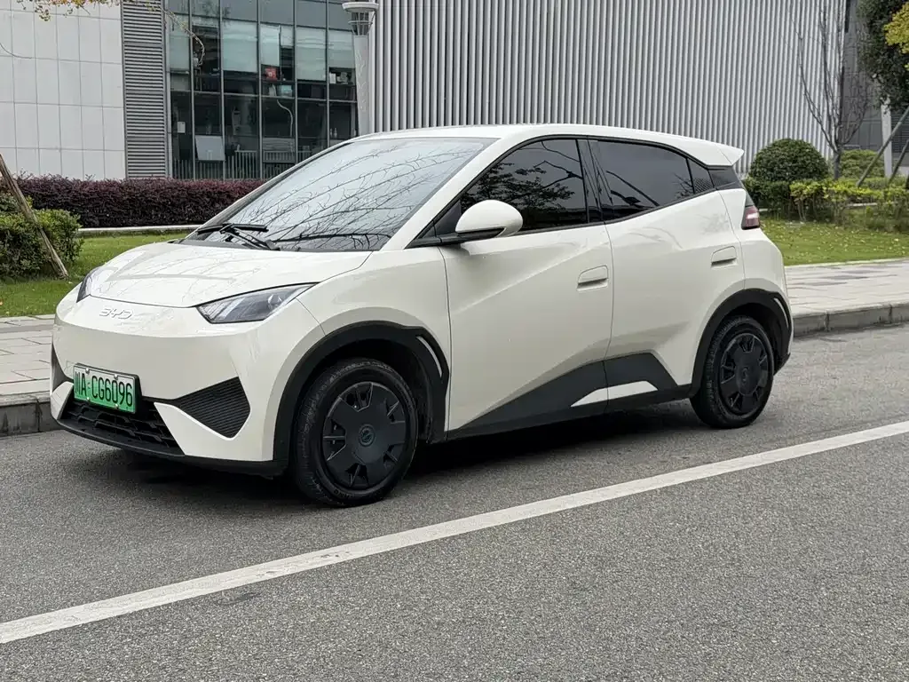 2025 BYD Seagull 305km Vitality