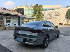 2021 BYD Qin PLUS EV 420km — фото 4