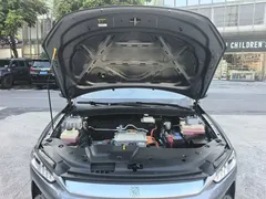 2021 BYD Qin PLUS EV 420km — фото 22