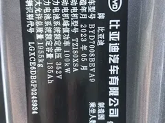 2021 BYD Qin PLUS EV 420km — фото 25