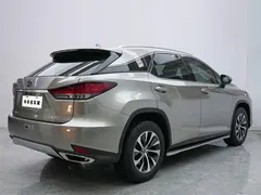 2020 Lexus RX 300 2WD Elite — фото 18