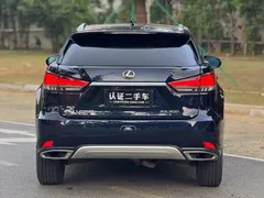 2020 Lexus RX 300 4WD Elegant, синий — фото 5