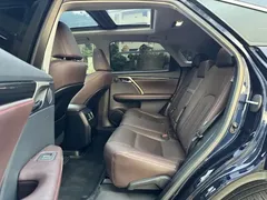 2020 Lexus RX 300 4WD Elegant, синий — фото 10