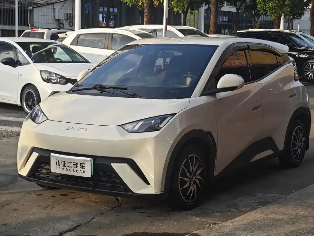 2023 BYD Seagull Vitality