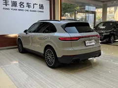 2023 Porsche Cayenne 3.0T Platinum Edition — фото 31