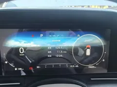 2021 Kia Carnival 2.0T Flagship, синий — фото 3