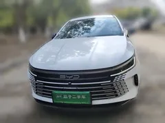 2024 BYD Destroyer 05 DM-i PHEV 55km Luxury, белый — фото 2
