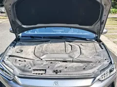 2021 BYD Qin PLUS EV 500KM Luxury — фото 11
