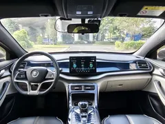 2021 BYD Qin PLUS EV 500KM Luxury — фото 22