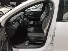 2025 BYD Qin PLUS DM-i PHEV Smart Driving 128km Advance, белый — фото 15