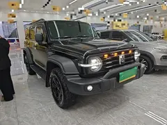 2023 Tank 300 Off-road 2.0T Challenger, чёрный — фото 4