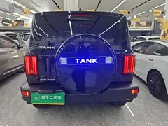 2023 Tank 300 Off-road 2.0T Challenger, чёрный — фото 6