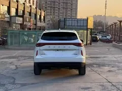 2021 Haval H6 3rd Gen 2.0T AT 4WD Max, белый — фото 8