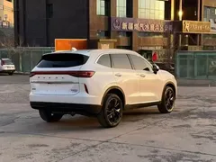 2021 Haval H6 3rd Gen 2.0T AT 4WD Max, белый — фото 9