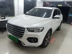 2021 Haval H6 1.5GDIT AT Luxury, белый — фото 1