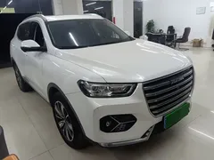2021 Haval H6 1.5GDIT AT Luxury, белый — фото 4