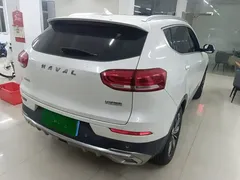 2021 Haval H6 1.5GDIT AT Luxury, белый — фото 7