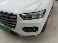 2021 Haval H6 1.5GDIT AT Luxury, белый — фото 24