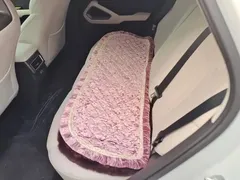 2025 BYD Yuan UP EV 301km Pilot — фото 11