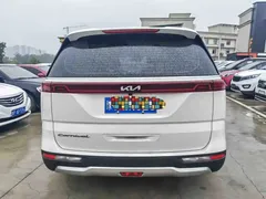 2021 Kia Carnival 2.0T Flagship, белый — фото 6