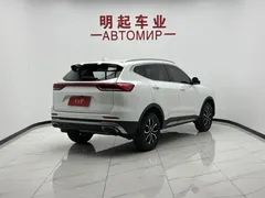 2023 Haval H6 1.5T AT Guochao Urban, белый — фото 8
